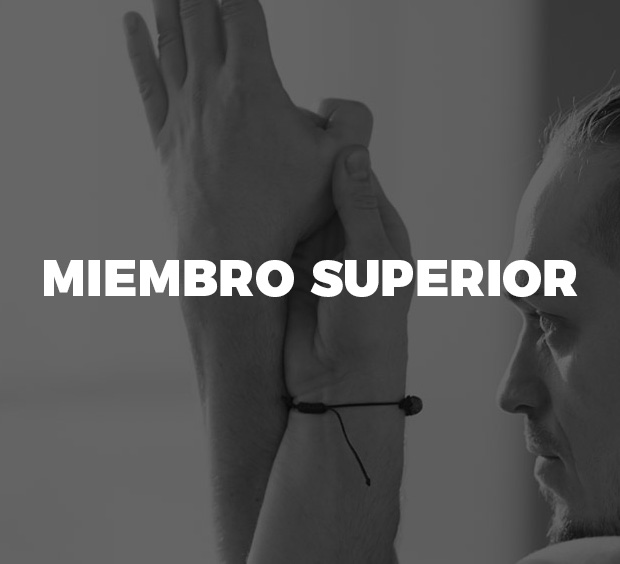miembro-superior
