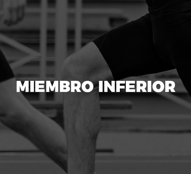 miembro-inferior